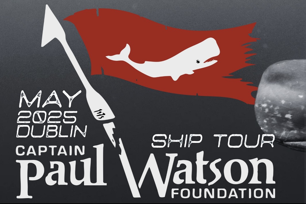 The John Paul DeJoria ship docked at Sir Rogerson’s Quay in Dublin, promoting free public tours and a vegan food drive by the Captain Paul Watson Foundation
